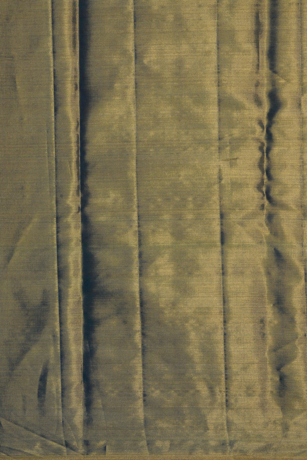 Image of Kanchipattu Tissue Brocade Saree